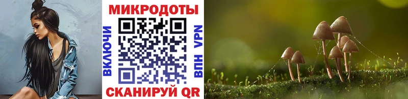 Псилоцибиновые грибы ЛСД Грайворон