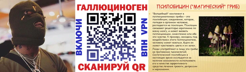 ссылка на мегу ССЫЛКА  продажа наркотиков  Грайворон  Псилоцибиновые грибы GOLDEN TEACHER 